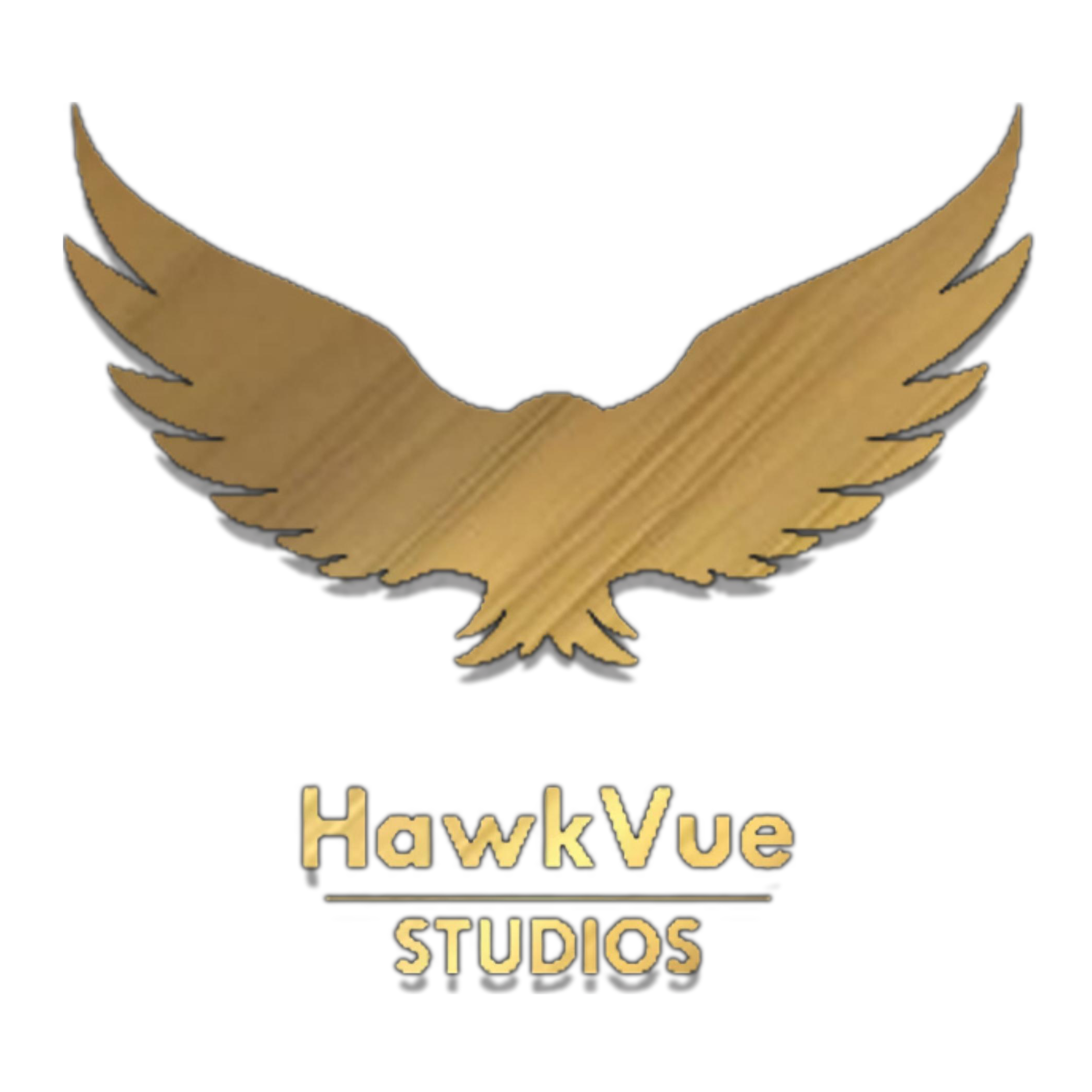 #FlywithHawkvue - A 360* Digital Marketing Agency Dubai | Ahmedabad | Mumbai