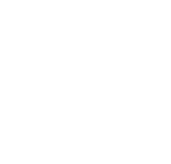 Optimise logo