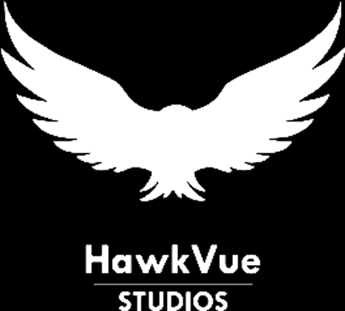 #FlywithHawkvue - A 360* Digital Marketing Agency Dubai | Ahmedabad | Mumbai